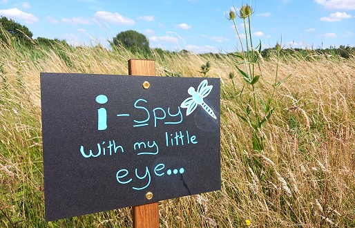 I-spy summer at Potteric Carr Nature Reserve