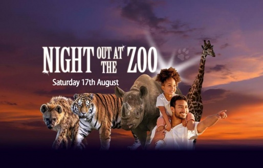 Night at the Zoo