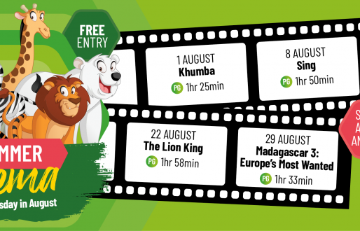 Summer Cinema at Lakeside Village