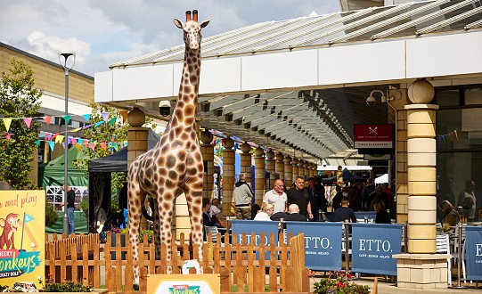 Reach new heights of fun during Giraffe Week at Lakeside Village