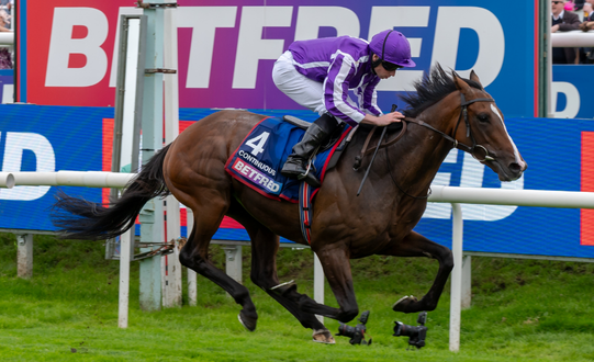 100 Day To Go Until The Betfred St Leger Festival