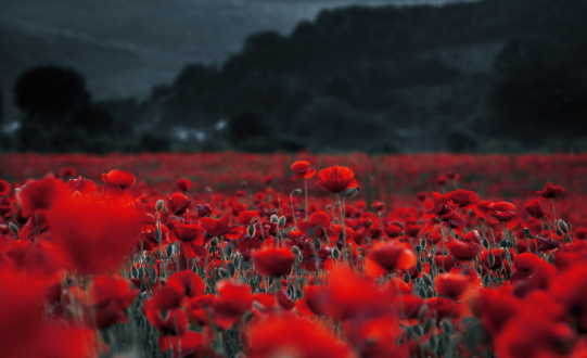 Doncaster Remembers